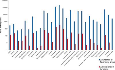 Adaptions of Lichen Microbiota Functioning Under Persistent Exposure to Arsenic Contamination